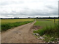 Farm track towards Melgund Muir in DD8 2UG
