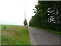 Minor road, Carse of Melgund in DD9 6SW
