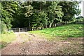Gates across track at entry to woodland east of Hydepark in CA11 8US