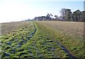 Bridleway across the fields above Lower Woodford in SP4 6AL