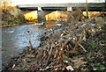 Kilnhurst bridge over the River Don in S64 5SD