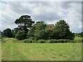 A glimpse of Badley church above the trees in Badley