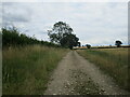 Farm track and footpath to Old Post Office Road in IP29 5QQ