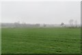 Wet and misty day, Romney Marshes in Isle of Oxney Ward