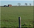 Pastoral scene near Sheepy Parva in CV9 3RE
