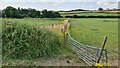 Fields near Westhouse Farm in DE55 5LW