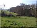 Valley north of Langtree in EX38 8NG