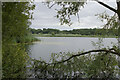 Lake, Stanwick Lakes Country Park in Stanwick