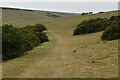 Footpath off Willingdon Hill in BN20 0JE