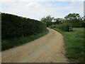 Roadway to Chevington Hall Farm in IP29 5QQ