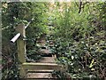 Rickety footbridge on the footpath towards the A429 in GL56 9QL
