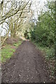 Footpath to Crawley Downs in RH10 4YY