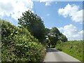 The road to St Winnow in PL22 0LF