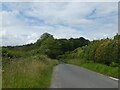 Road to Higher Hartswell Farm and woodland beyond in PL22 0LH