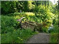 Footbridge over Gairie Burn in DD8 5ER