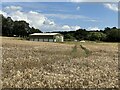 Crop field and barn off Marley Lane in TN33 0RB