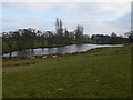 Lake near Plas Newydd Farm, Pontblyddyn in CH7 4HP