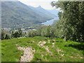 Path above Kinlochleven in PH50 4RE