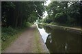 Tame Valley Canal towards Piercy Aqueduct in B42 1LY