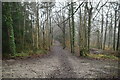 Footpath, Cuckoo Wood in BR6 7JL