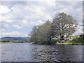 River Spey, Insh in PH21 1NT