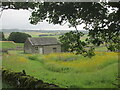Barn and wildflower meadow near Hall Farm in Wardlow