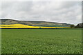 View towards the South Downs in Iford
