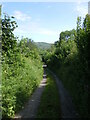Lon rhwng/Lane between Penybanc & Ffynnon Wiber, Bronwydd Arms in SA33 6JB