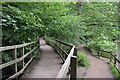 Boardwalk and lakeside path at Lymm Dam in WA13 0SU