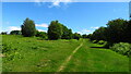 On Oswald's Trail - path across northern section of Racecourse Common near Oswestry in SY10 7HP