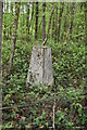 Triangulation Pillar, Hurst Wood in TN15 0QX