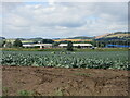 Harvesting at Leuchars in KY16 0LJ