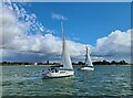 Yachts off Mill Beach, River Blackwater in CM9 4RA