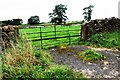 Field gateway on south side of Green Lane in CA11 9GW