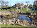 Village Pond, East Clandon in GU4 7RY