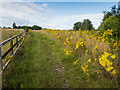 Footpath approaching Burnham Green in AL6 0NX