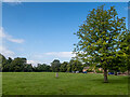 Trig point on Burnham Green's green in AL6 0NX