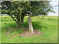 Estate Boundary Marker on Metherin Downs in Blisland parish in PL30 4LG
