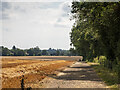 Bridleway towards Churchfield Road, Tewin in AL7 1UW