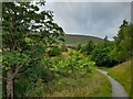 A Glimpse of Pendle Hill in Barley-with-Wheatley Booth