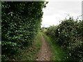 Bridleway to Carter Lane, Church Warsop in Warsop Carrs Ward
