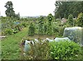 Allotments off Knighton Road in LD8 2UA