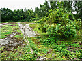 Disused rail track in Rothwell Country Park in LS26 0JW