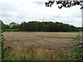 Stubble field towards woodland, Besford Bridge Farm in WR10 2AD