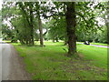 Grassy area with trees between two roads in NR11 7HG