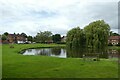 Tholthorpe village pond in YO61 1SX