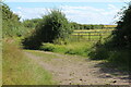 Boat Road, Newport Wetlands NNR in NP18 2AU