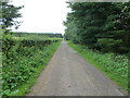 Tree and hedge-lined minor road near to Ecclesgreig in DD10 0DD
