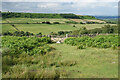 Sheep on the edge of Harewood Moor in S45 0LP