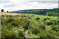 Footpath on Harewood Moor in S45 0LP